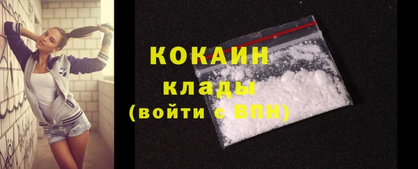 соль ск Заводоуковск