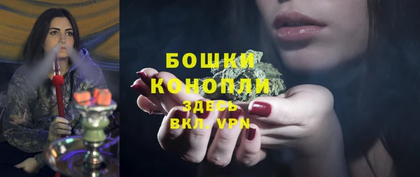 соль ск Заводоуковск