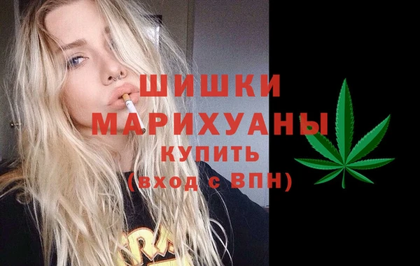 соль ск Заводоуковск