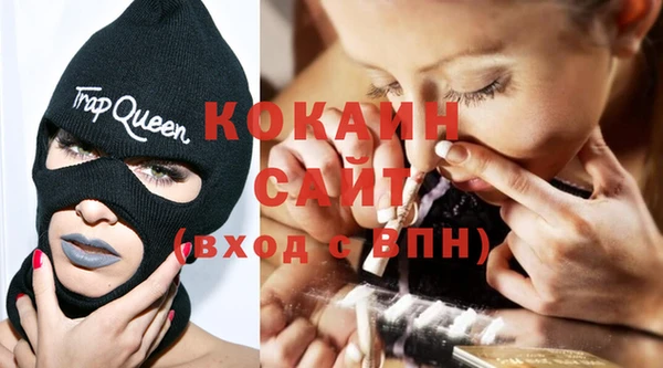 соль ск Заводоуковск