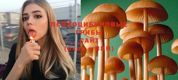 соль ск Заводоуковск
