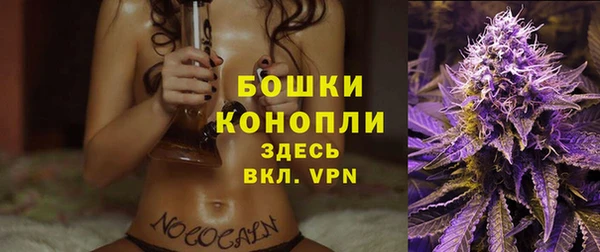 соль ск Заводоуковск