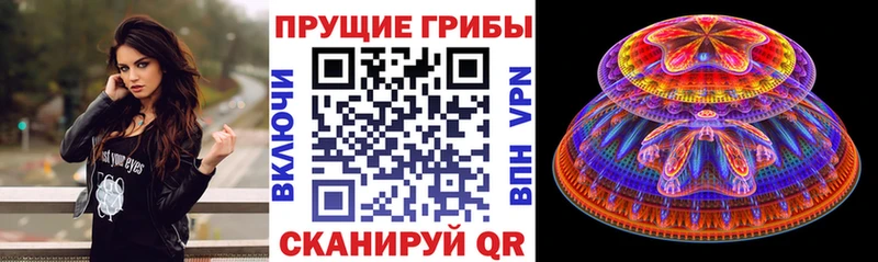Псилоцибиновые грибы Magic Shrooms Ядрин